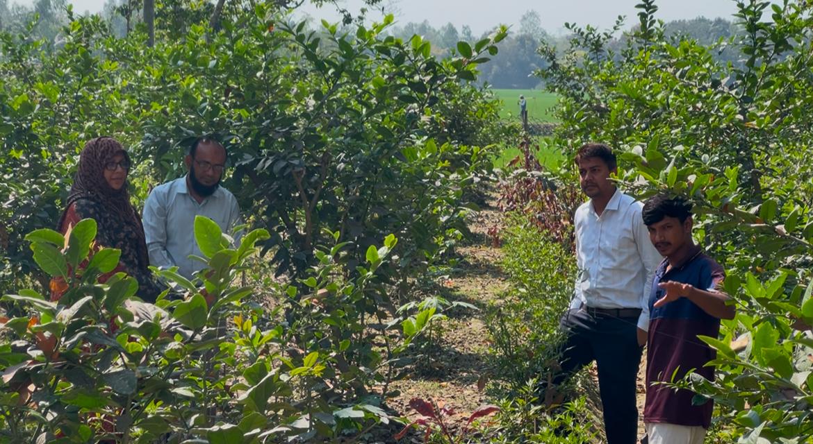 নওগাঁর রাণীনগরের তরুণ সম্রাট এখন সফল উদ্যোক্তা, পরিত্যক্ত ঝোপঝাড়ে সবুজের বিপ্লব